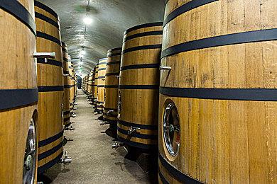 TGA 2024最佳家庭游戏：《宇宙机器人》